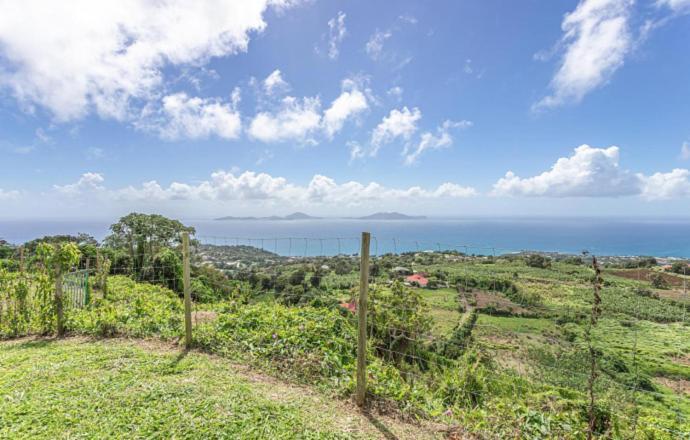 Villa L'Ilot Fruits Guadeloupe Trois-Rivières Exterior foto