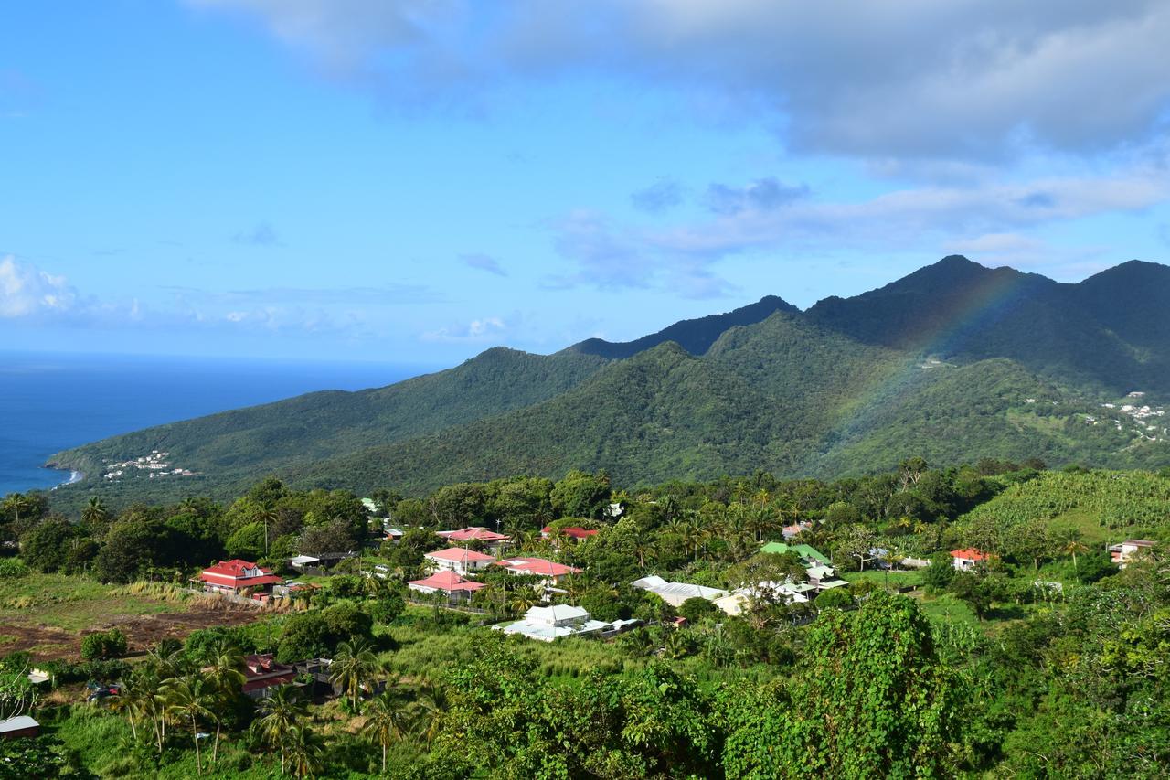 Villa L'Ilot Fruits Guadeloupe Trois-Rivières Exterior foto