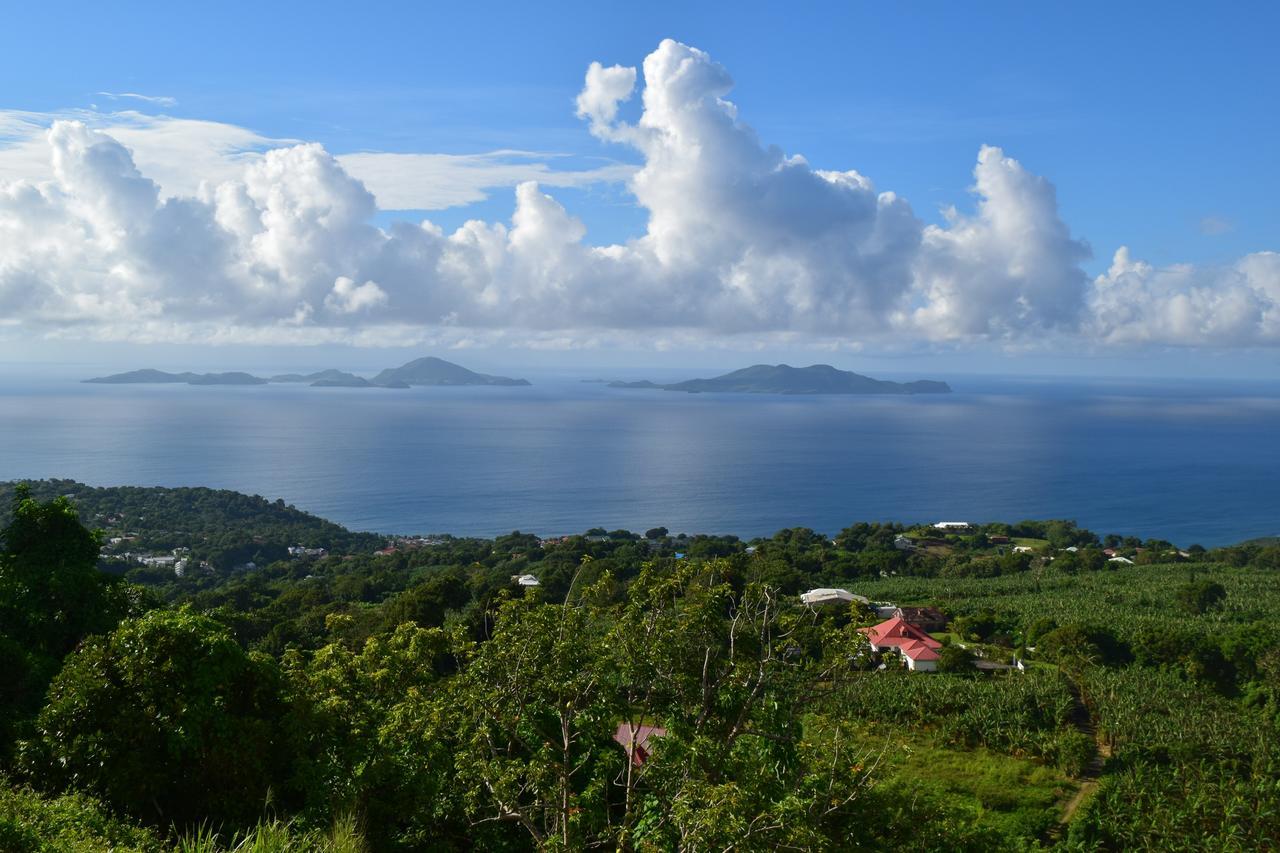 Villa L'Ilot Fruits Guadeloupe Trois-Rivières Exterior foto